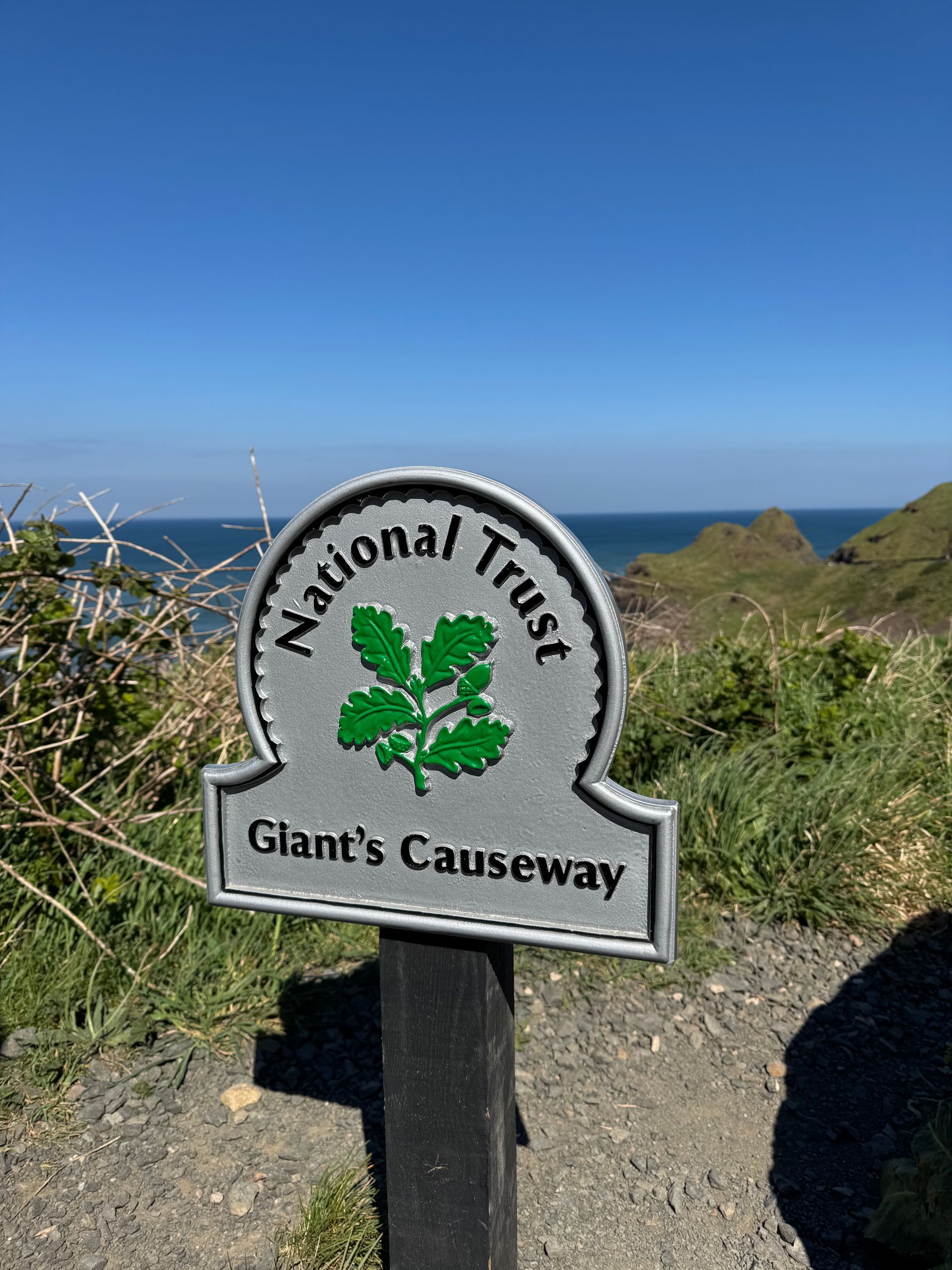 National Trust sign for Giant's Causeway with green oak leaves, against the ocean and cliffs.