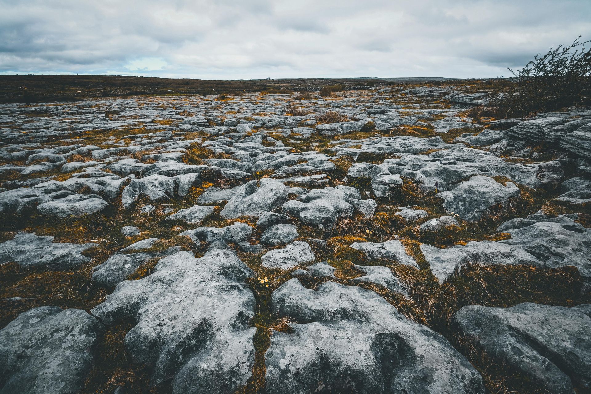 The rugged limestone pavement of the Burren in County Clare, Ireland.