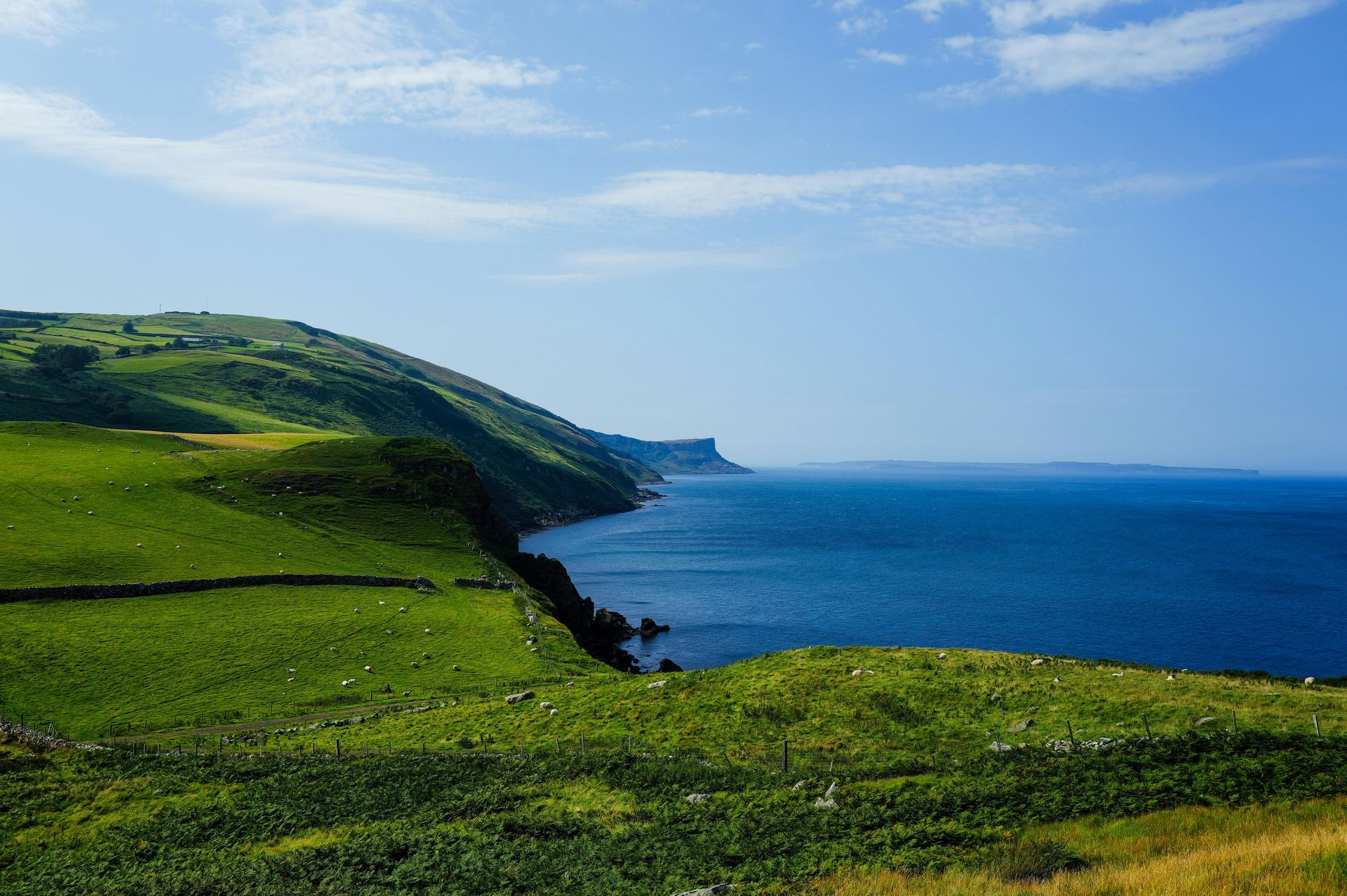 Green coastal cliffs overlooking a deep blue ocean under a bright sky