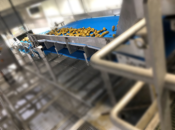 custom conveyor