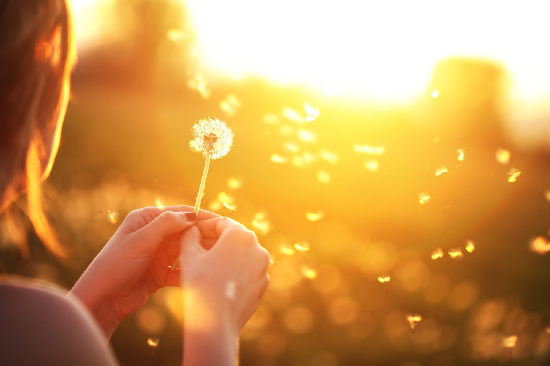 Woman Blowing a Dandelion — Roseville, CA — Allergy Medical Group of the North Area Inc