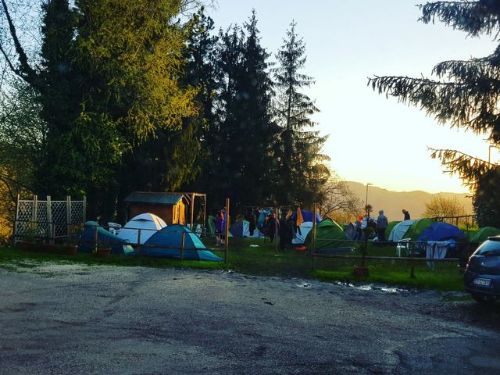 Un gruppo di persone sta campeggiando in un campo con delle tende.