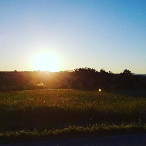 Il sole sta tramontando su un campo erboso con alberi sullo sfondo.