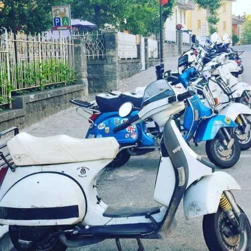 Una fila di scooter blu e bianchi sono parcheggiati sul ciglio della strada