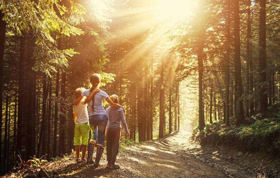 Un gruppo di bambini sta camminando lungo una strada sterrata nel bosco.
