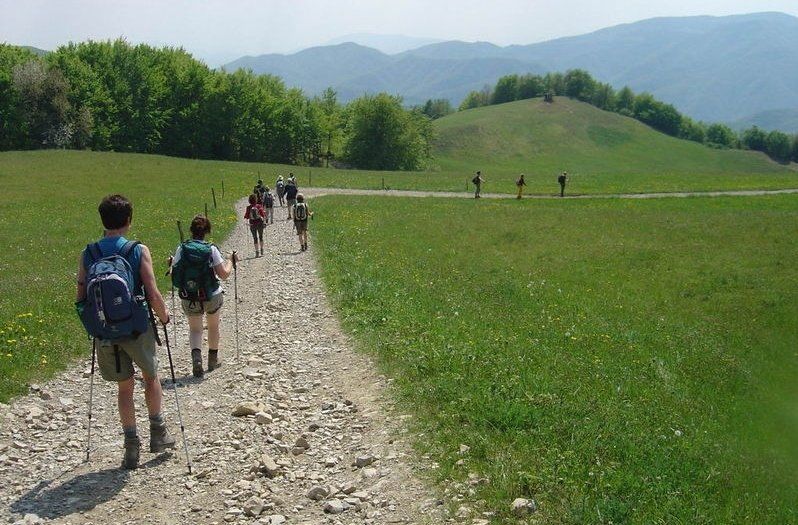 Un gruppo di bambini sta camminando lungo una strada sterrata nel bosco.