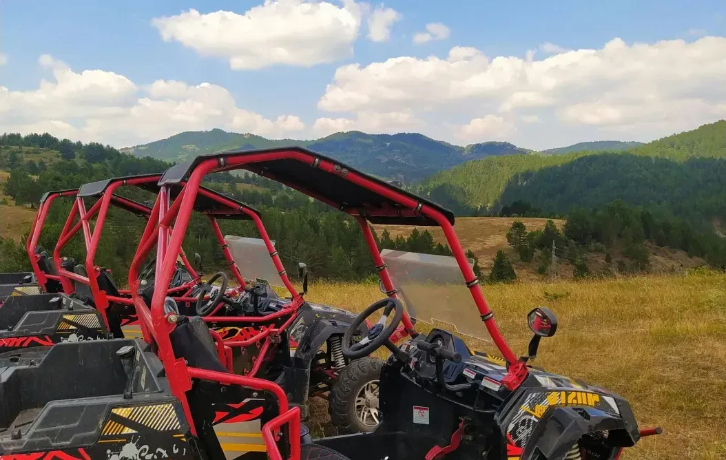 A row of atvs are parked in a field with mountains in the background.