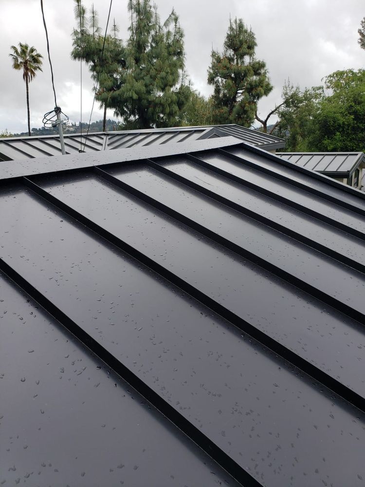 A close up of a black metal roof with trees in the background.