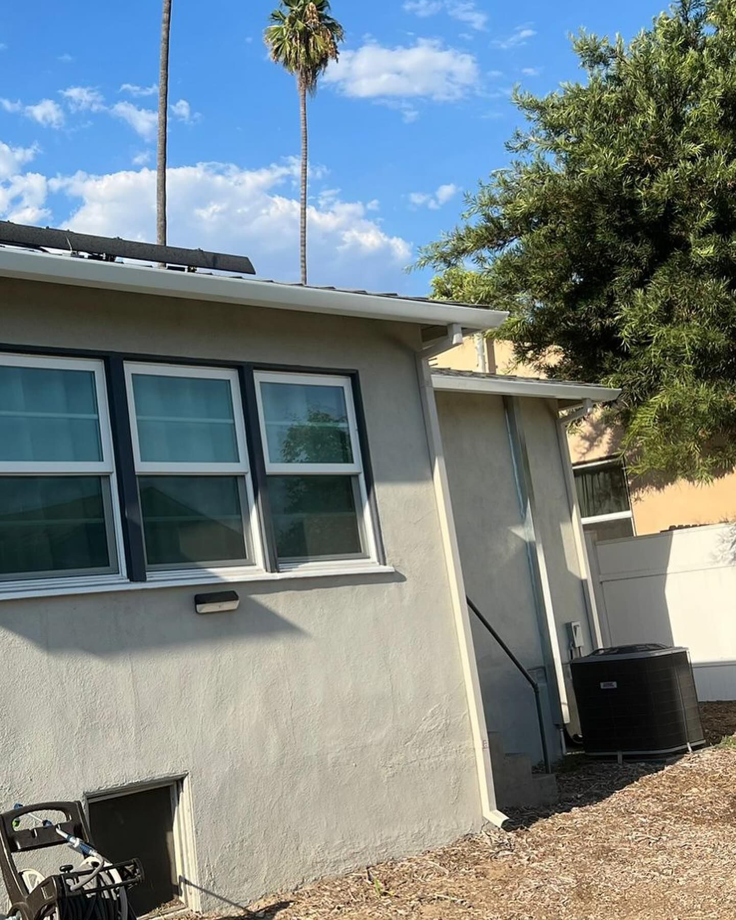 A house with a lot of windows and a palm tree in the background