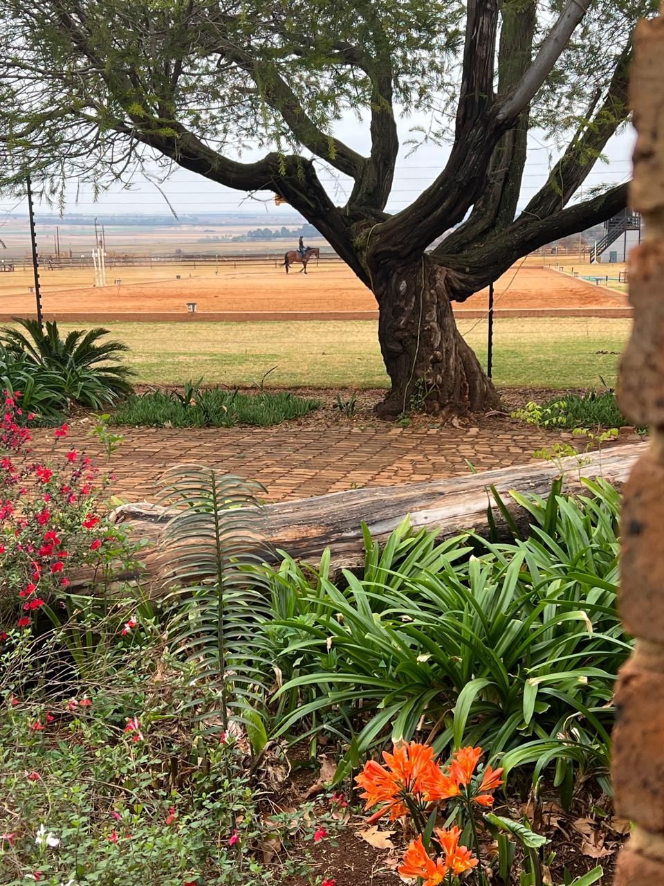 A tree in a garden with flowers and a horse in the background.