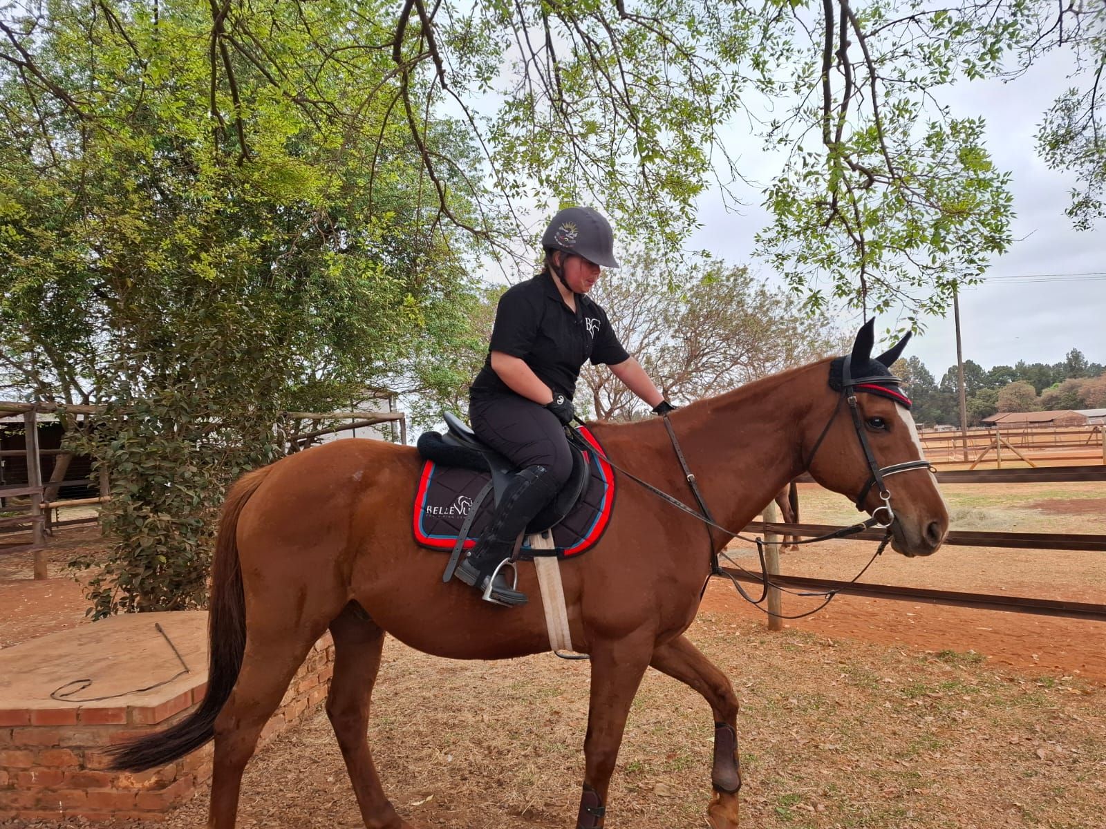 A woman is riding a brown horse in a fenced-in area at Bellevue Equestrian Centre.