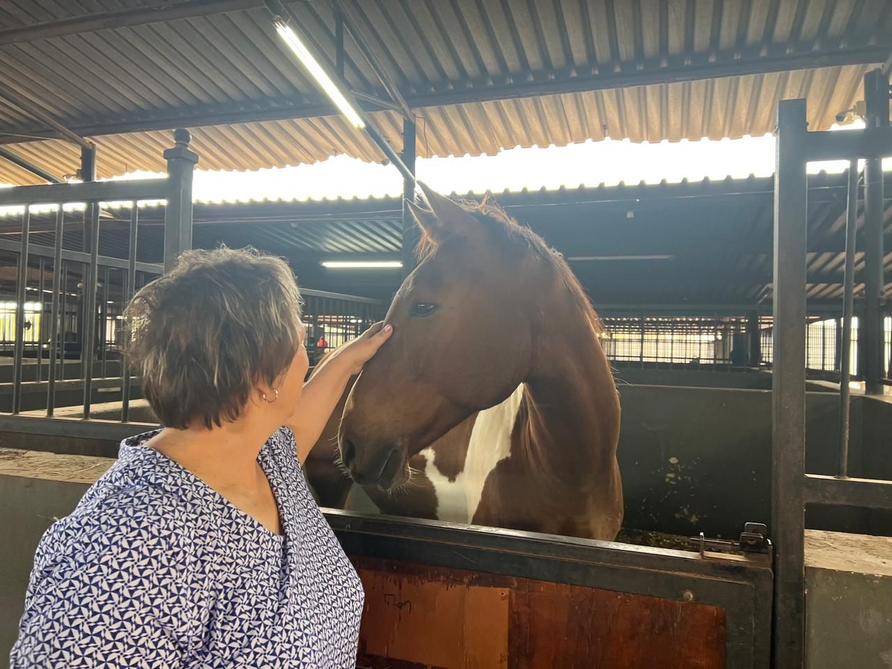 A woman petting a brown horse in a stable