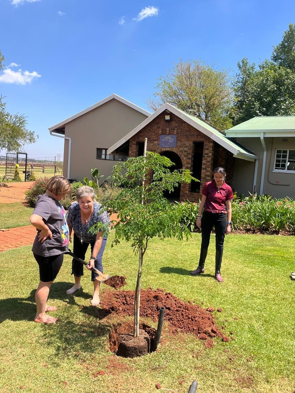 Three women are planting a tree in a yard in front of a house.
