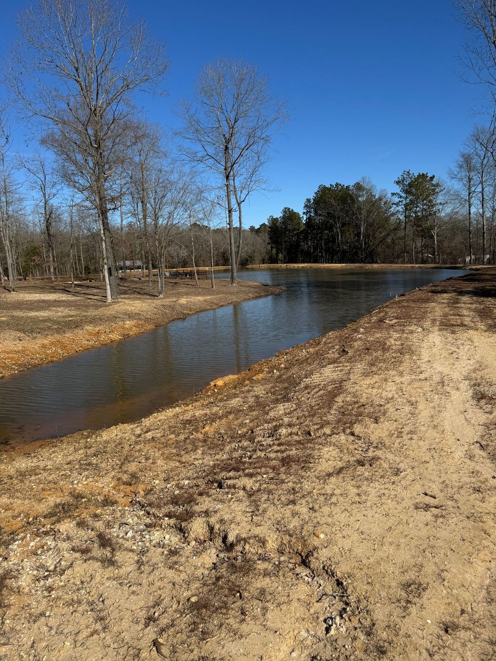 A clean pond free of debris