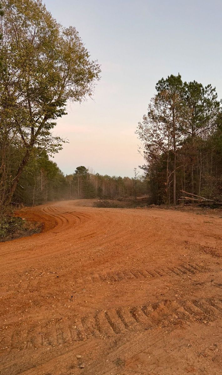 A dirt road going through a forest with trees on both sides.