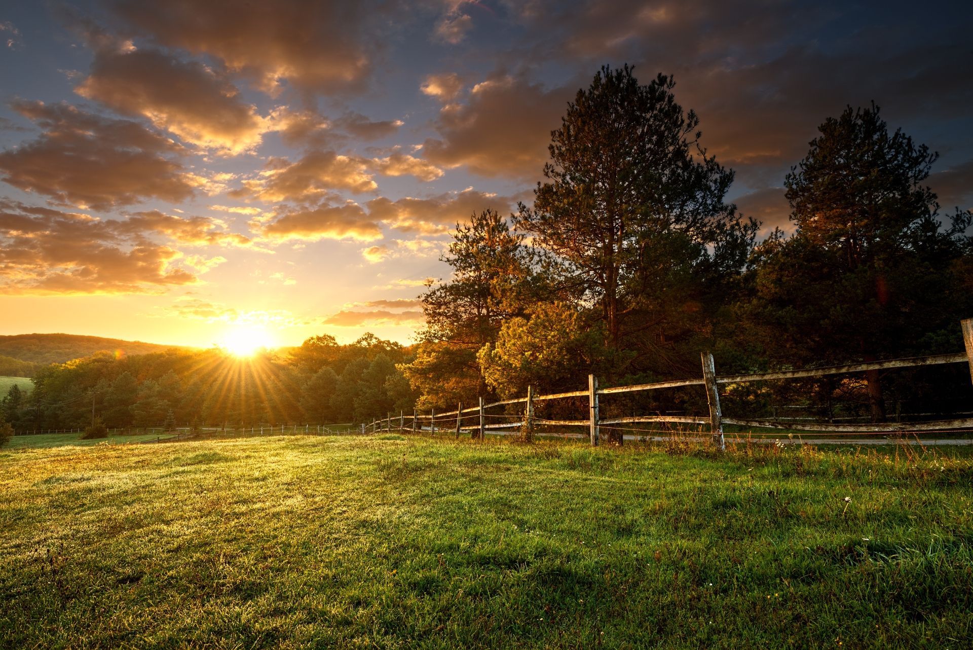 A golden sunset glows over a green pasture with a rustic wooden fence and trees in the background.