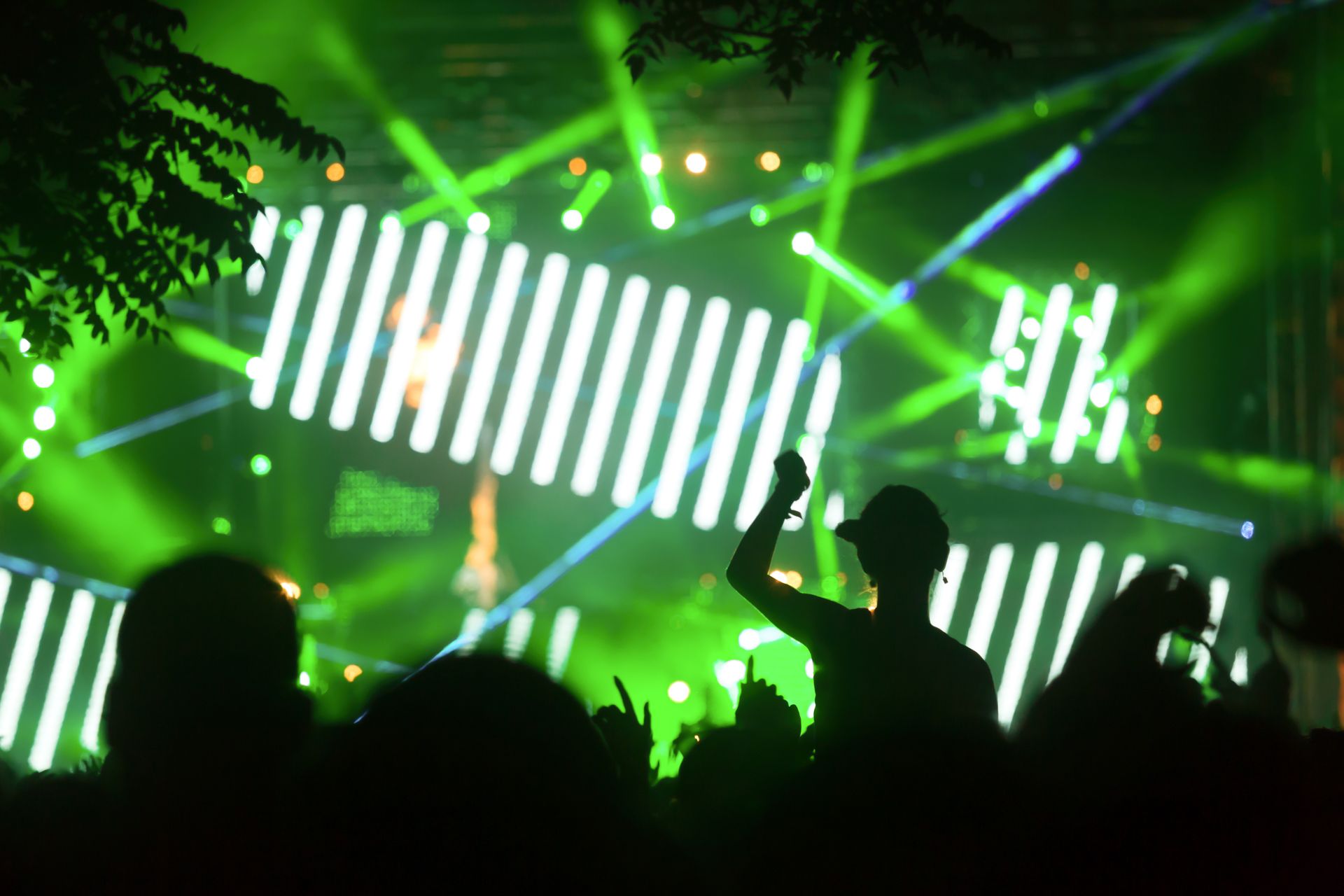 Şahin Event, Konser