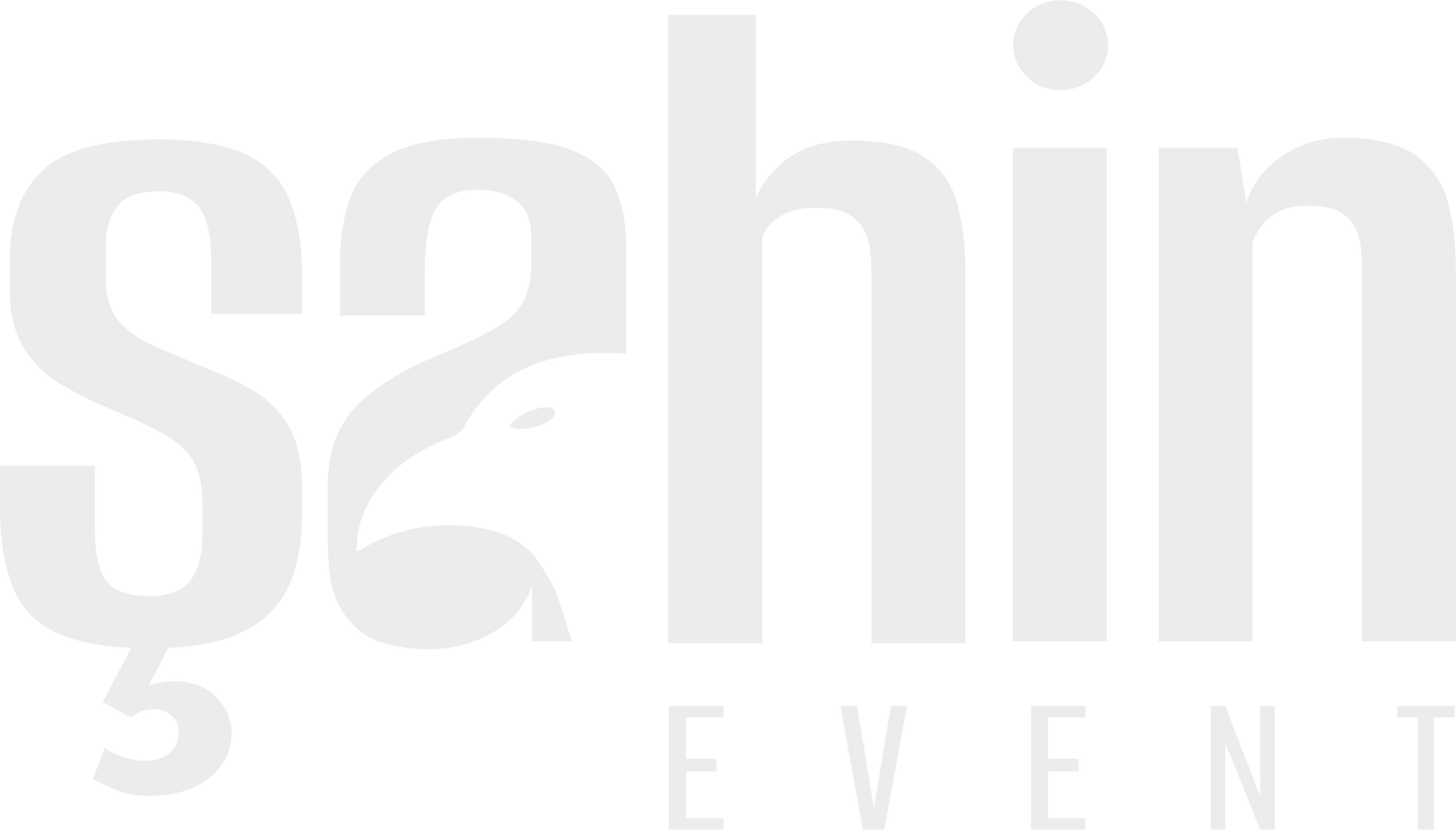 Şahin Event, Main Logo