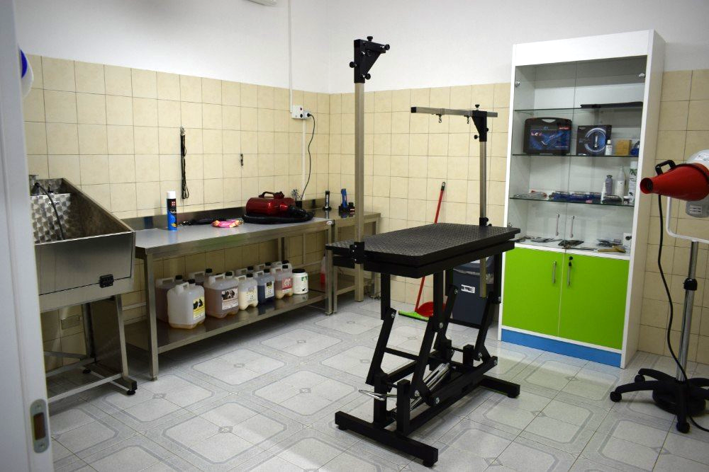 lettino da toelettatura e rasatura