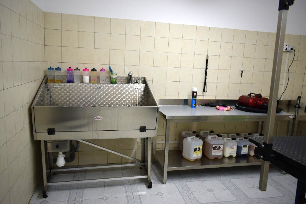 strumenti per la toelettatura