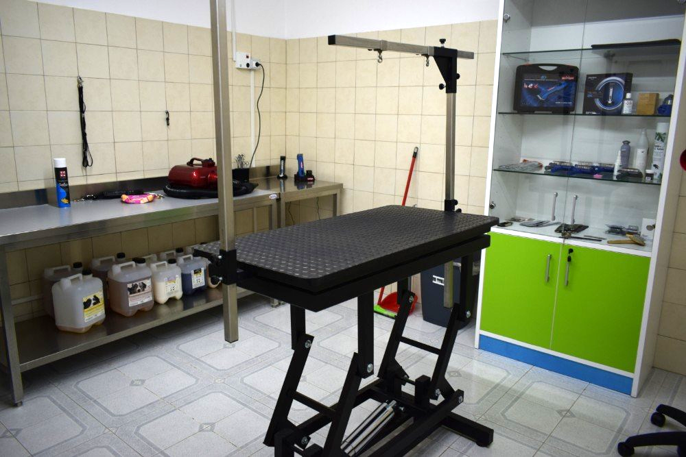 tavolo per tosatura cani