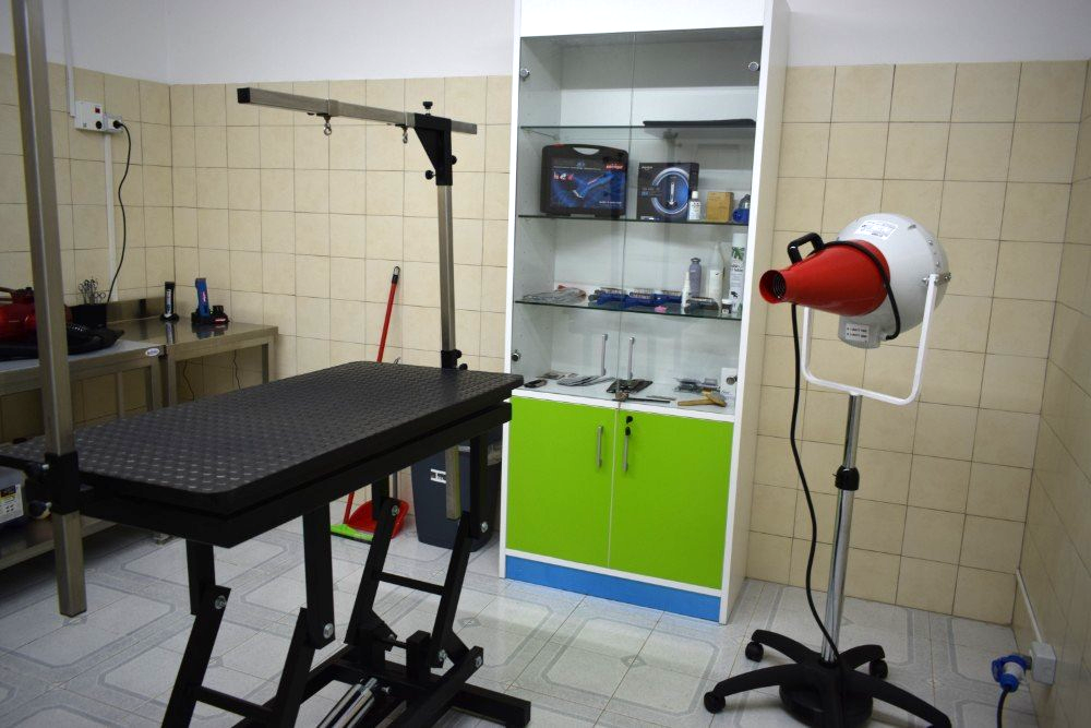 tavolo da toelettatura