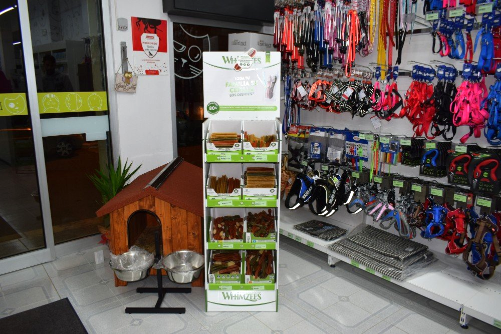 cucce cani di vari formati