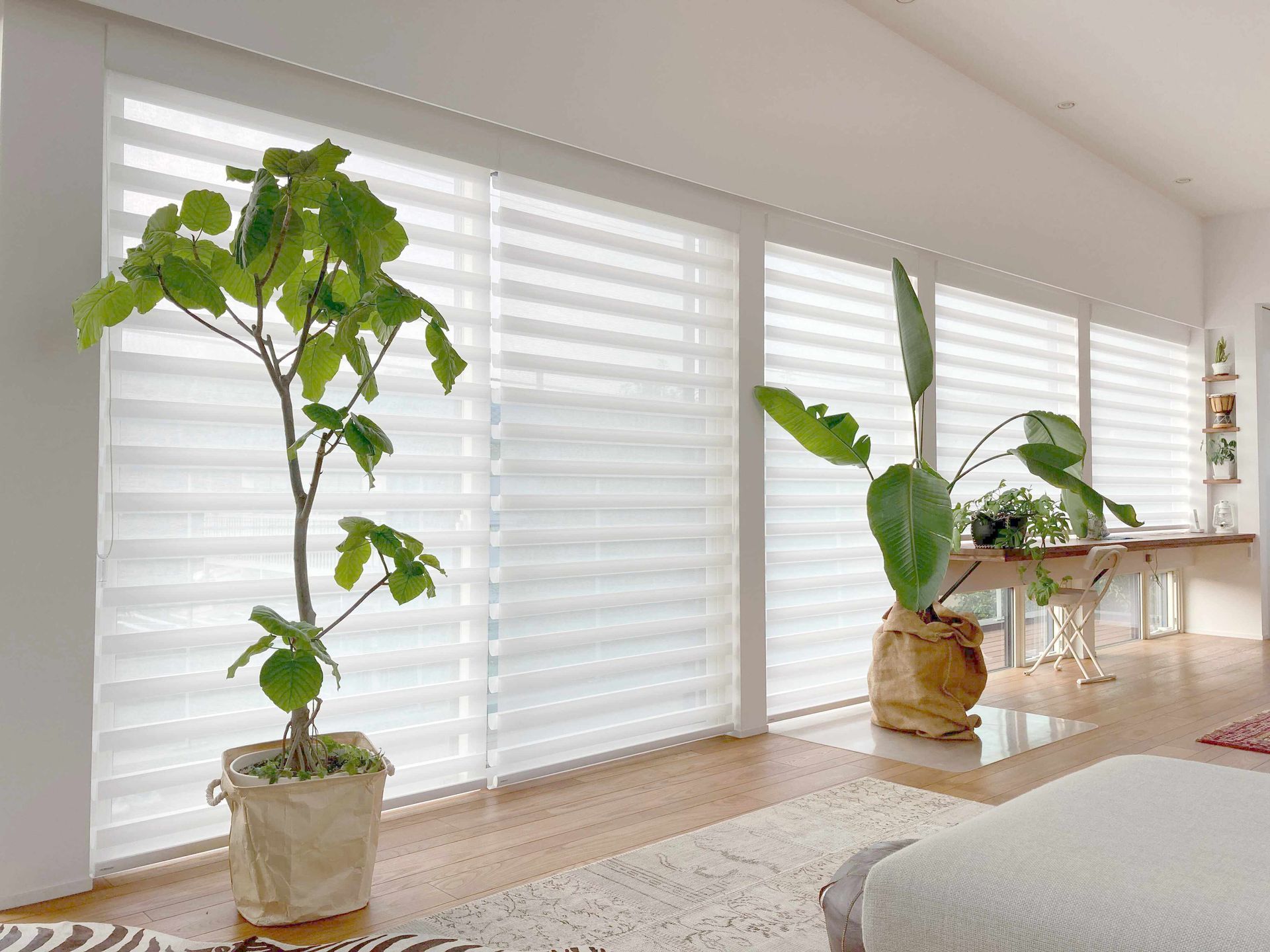 Interior with large windows, sheer white blinds, and potted plants on a wooden floor.