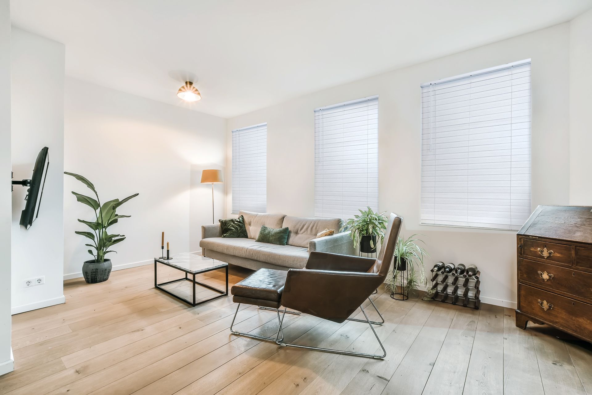 Living room with sofa, chair, plants, and three windows with blinds. Wooden floor.