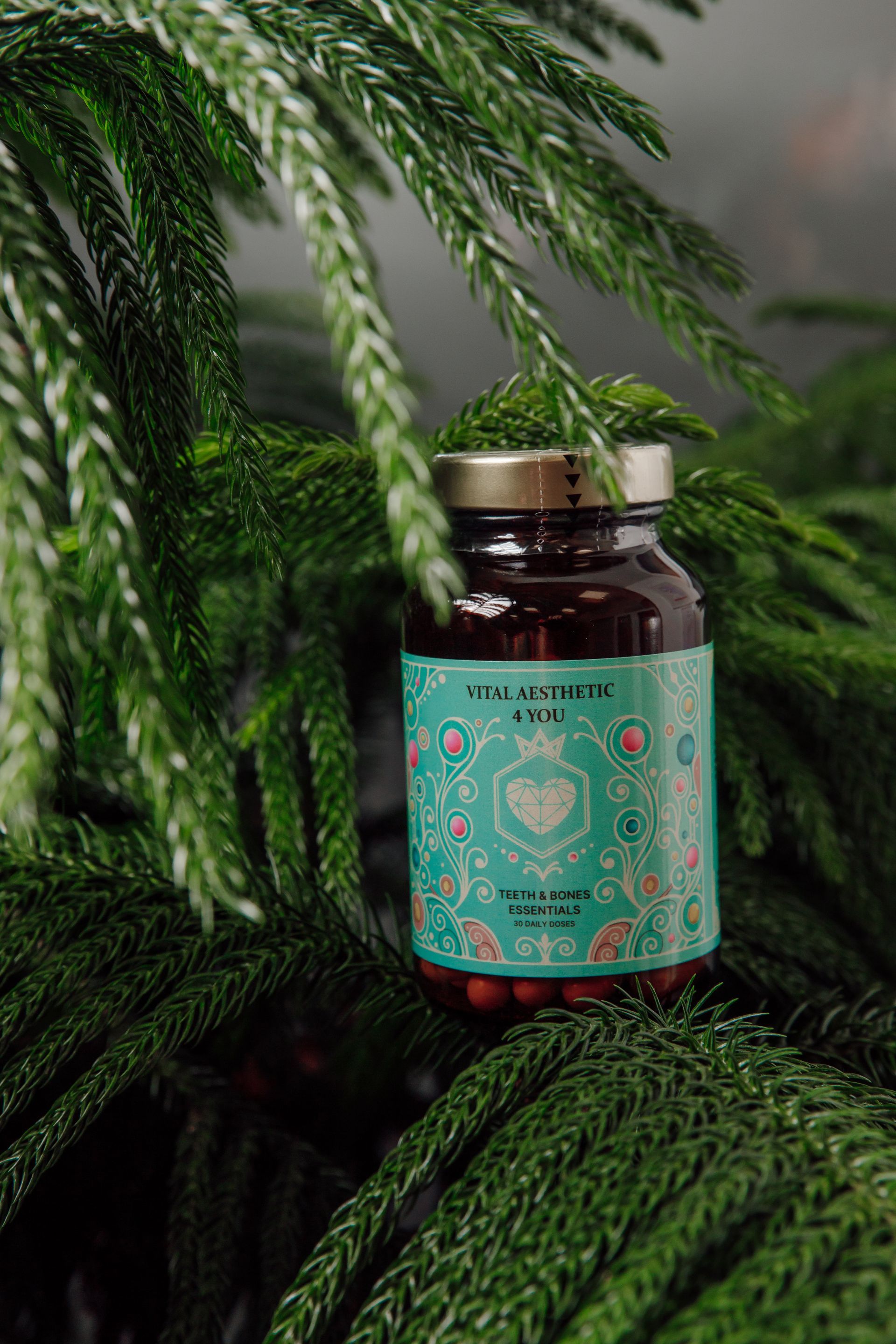 Bottle of pills with a teal label, nestled in green foliage.