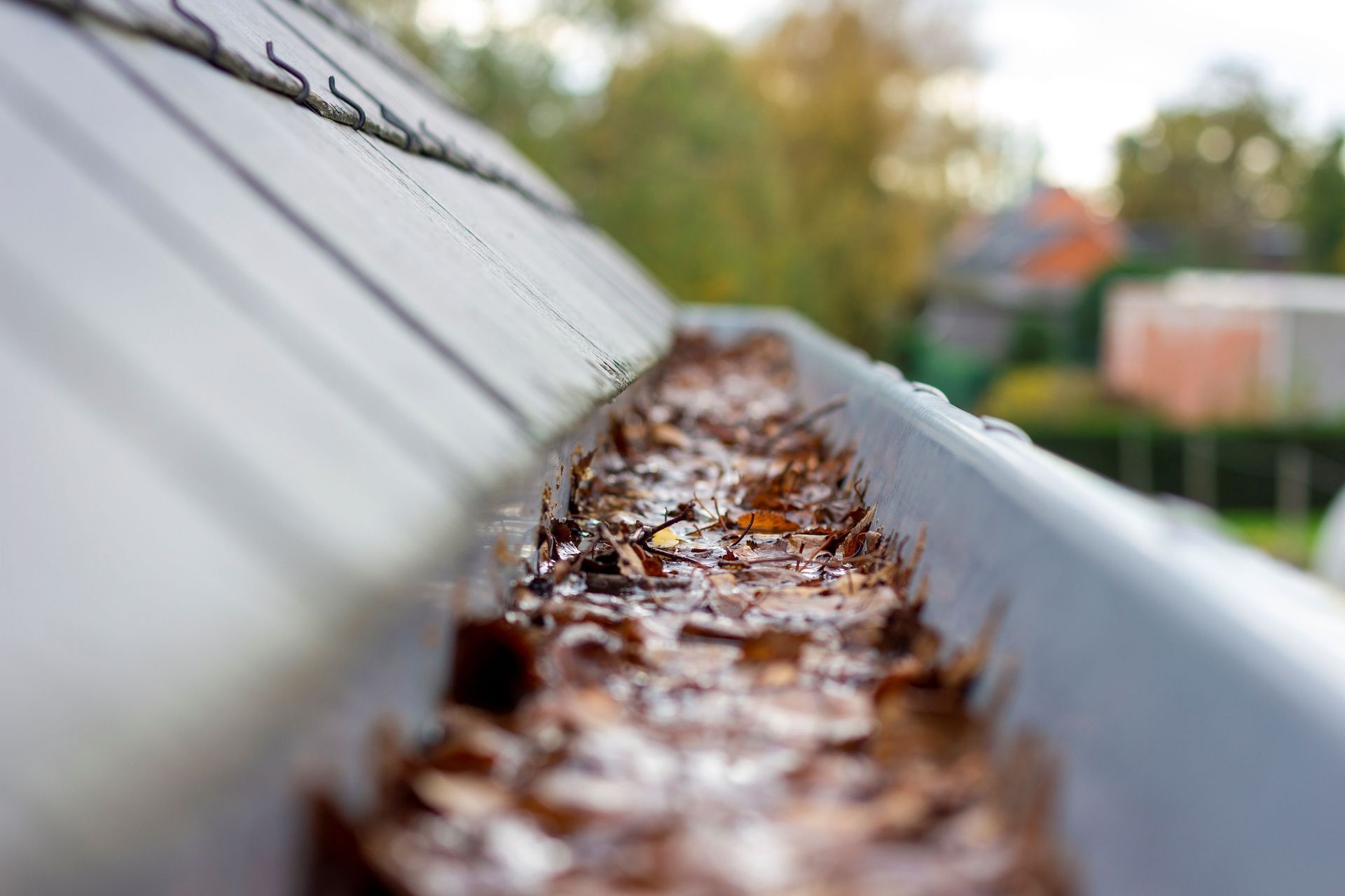 Gutter filled with brown leaves and debris; view from below on a cloudy day.