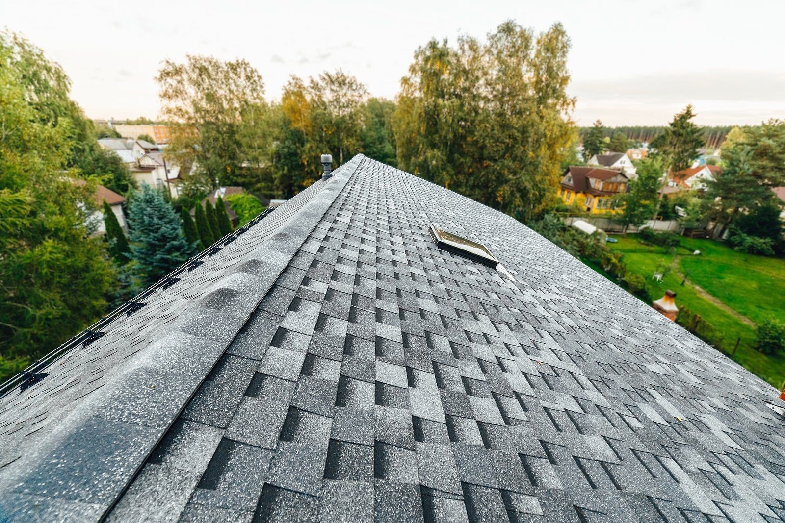 Asphalt shingle roof with moss, houses and trees in background.