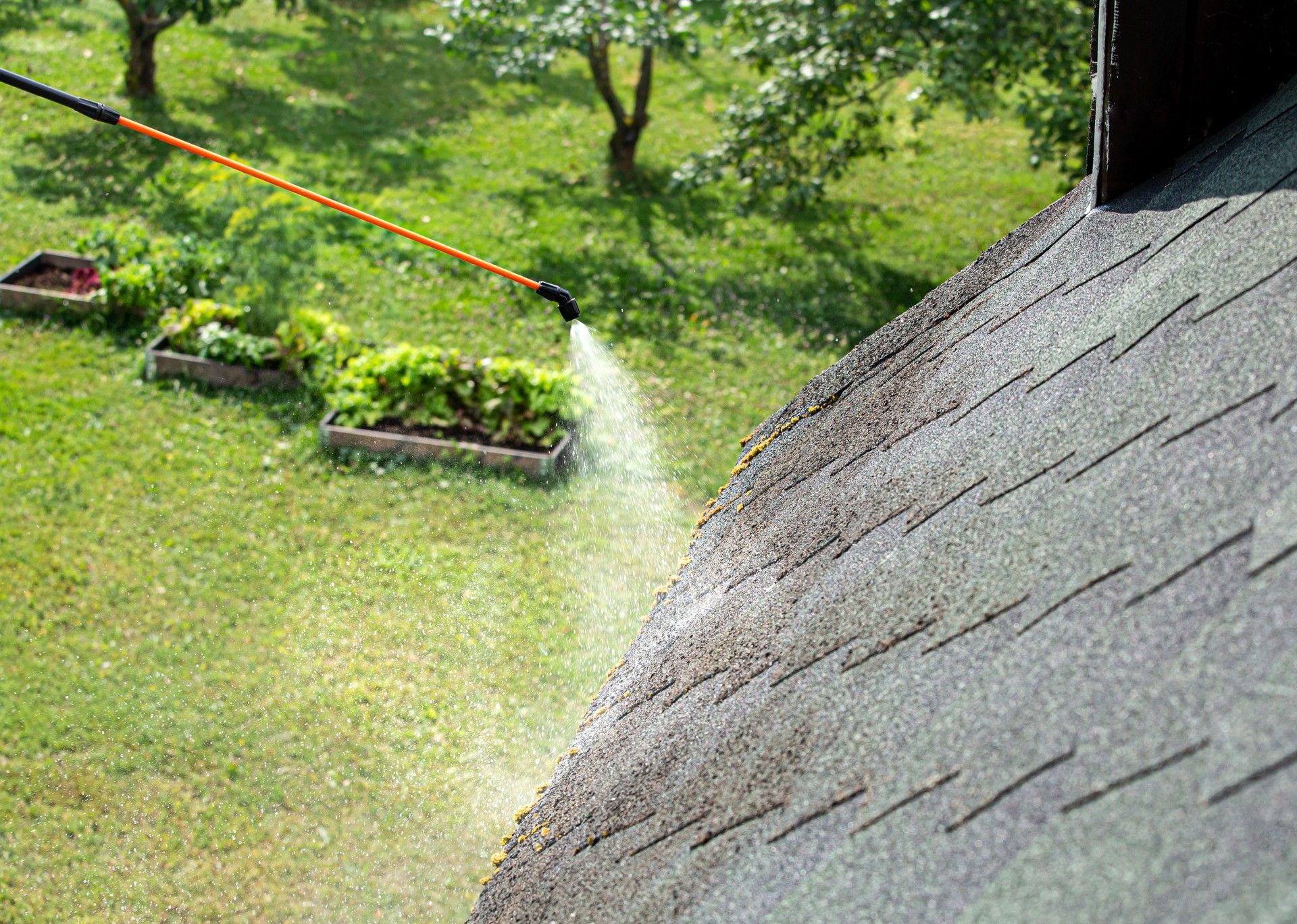 Spraying a roof with a long nozzle; green grass and garden beds in the background.