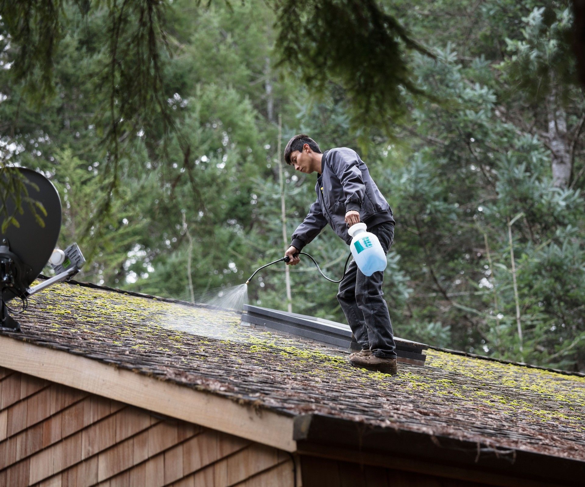 Man spraying cleaning solution on a moss-covered roof. Outdoors, trees in background.