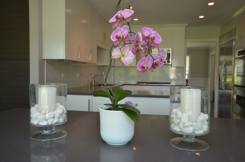 A kitchen with a potted plant and two candles on the counter.