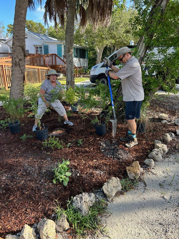 A man and a woman are digging in a garden.