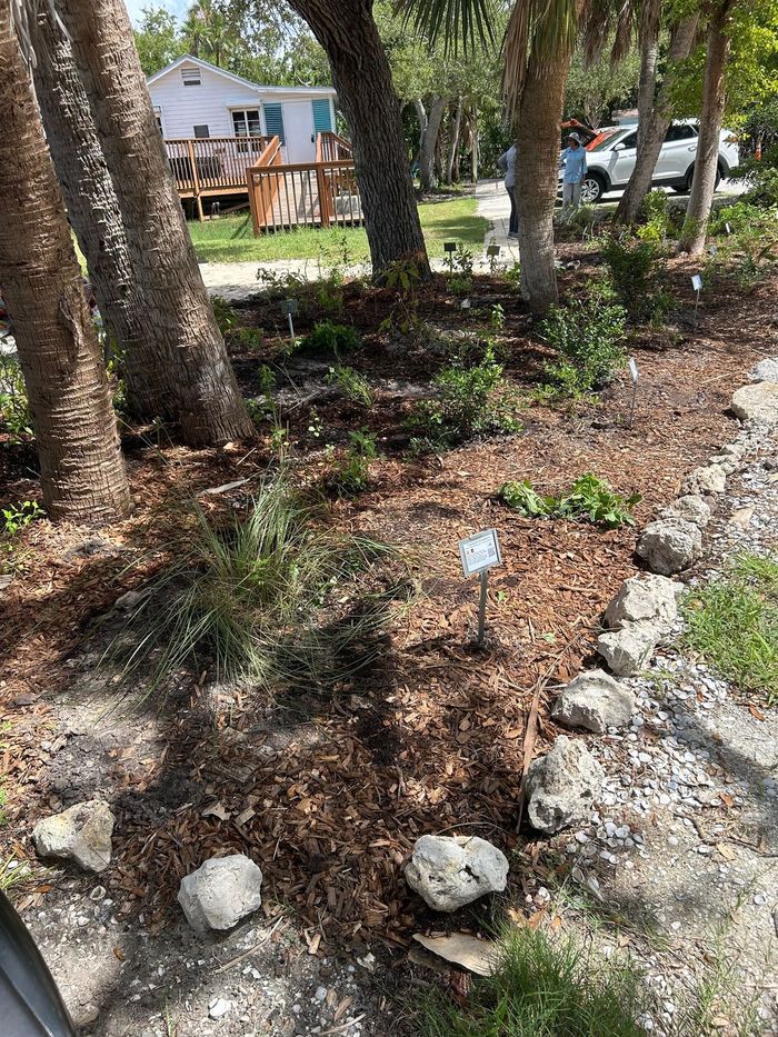 A garden with rocks and trees in front of a house.