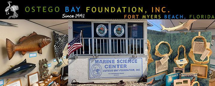 The ostego bay foundation inc. is located in fort myers beach florida
