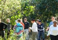 A group of people are standing in the woods talking to each other.