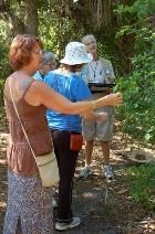 A group of people are standing in the woods looking at trees.