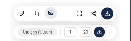 Bari Lur interface for saving a single page or page range (replace with real screenshot)