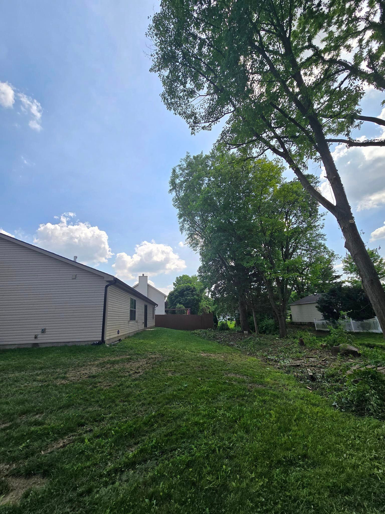 A house with a lot of grass and trees in front of it.