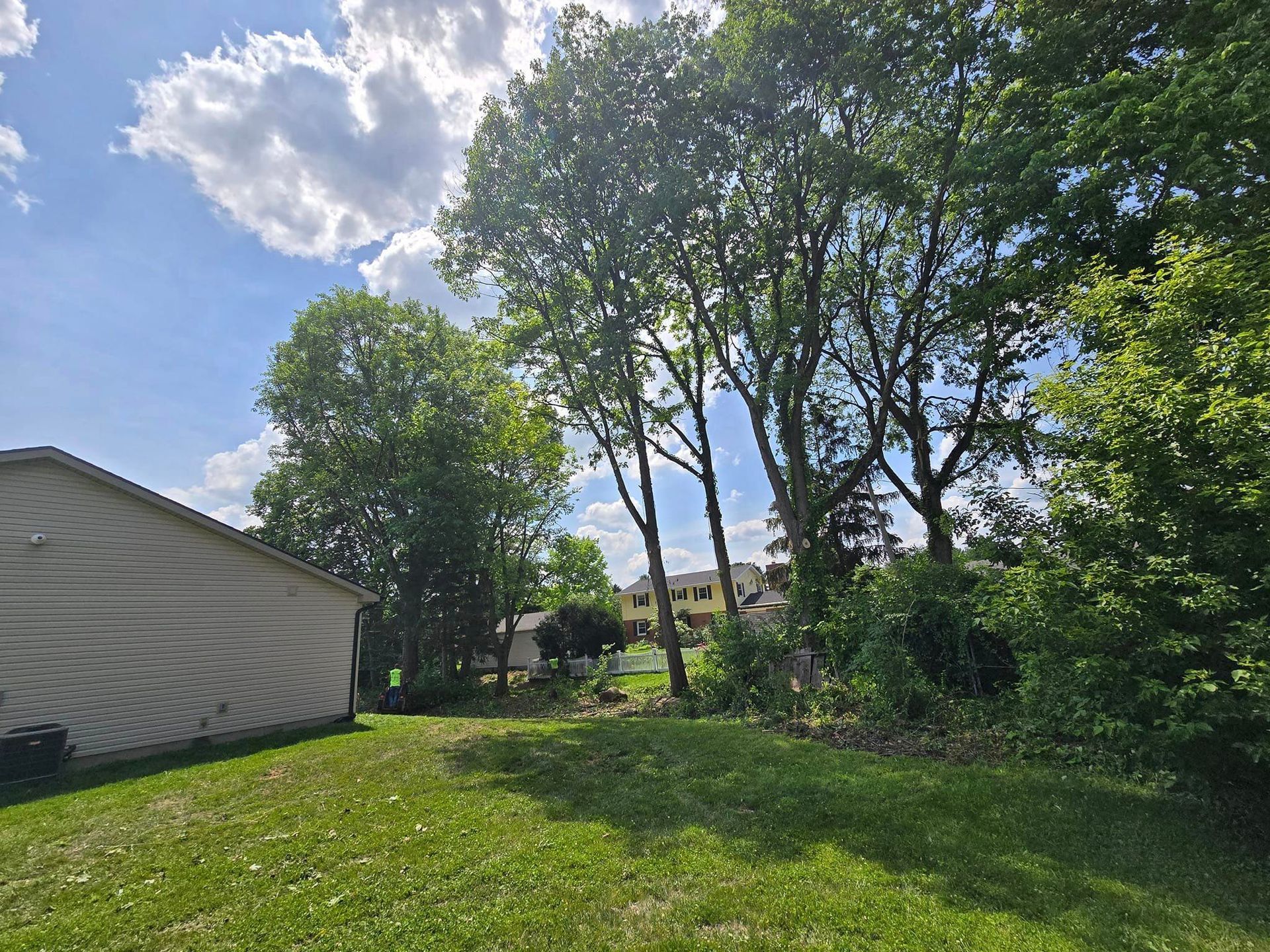 A house is sitting in the middle of a lush green field surrounded by trees.