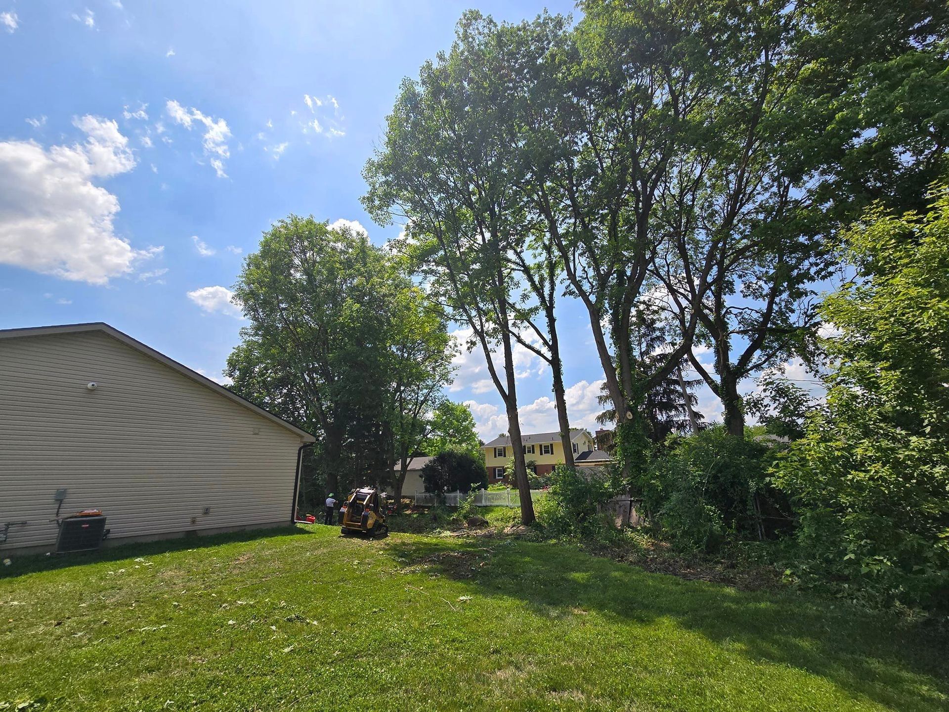 A house is sitting in the middle of a lush green field surrounded by trees.