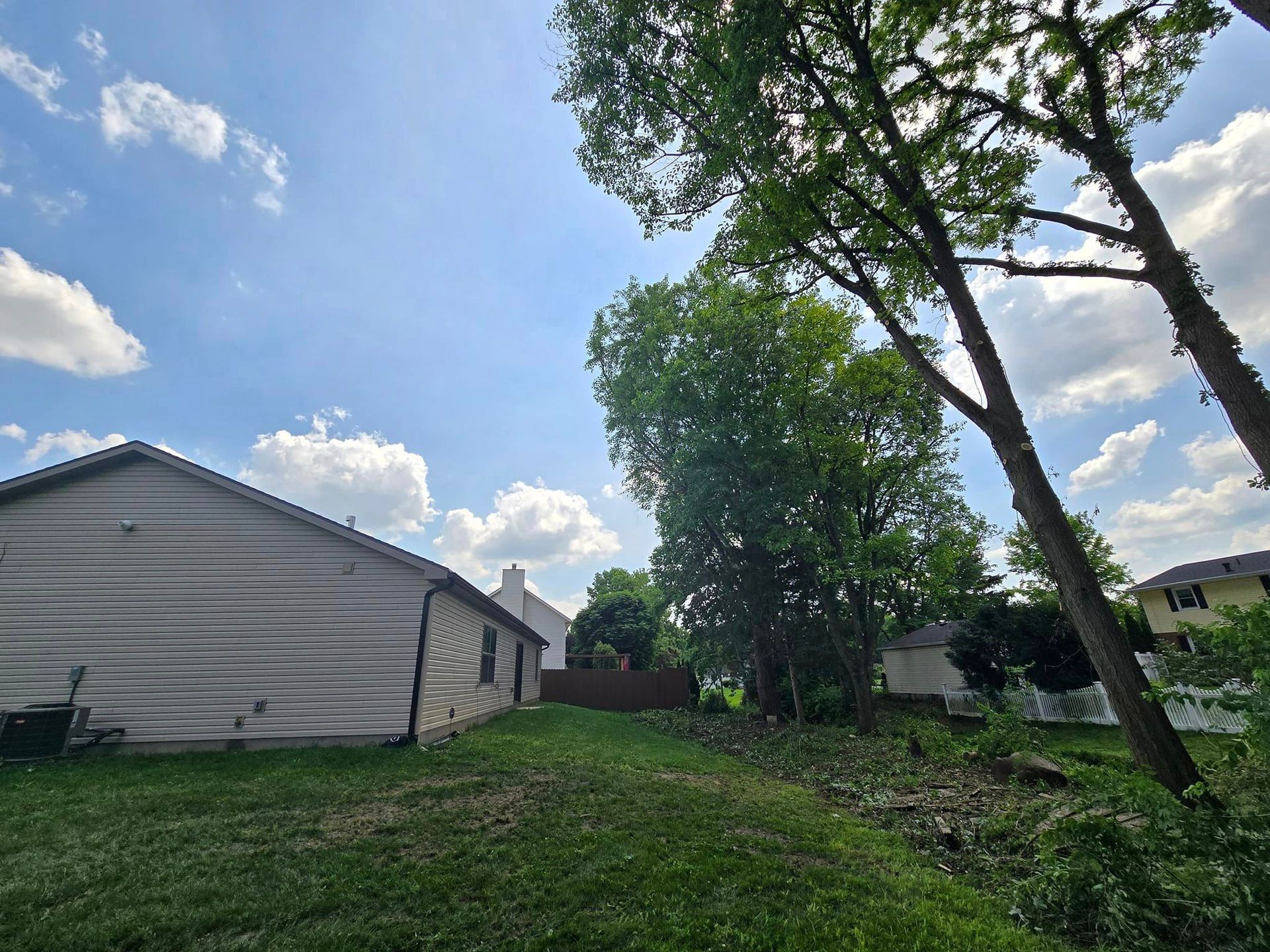 A house with a lot of trees in front of it.