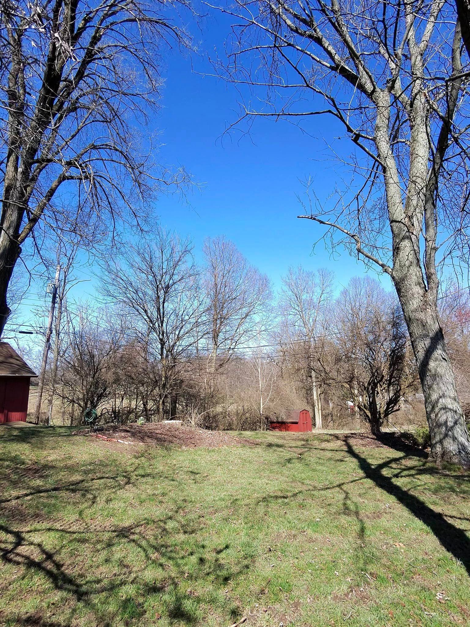 There is a red barn in the background and trees in the foreground.