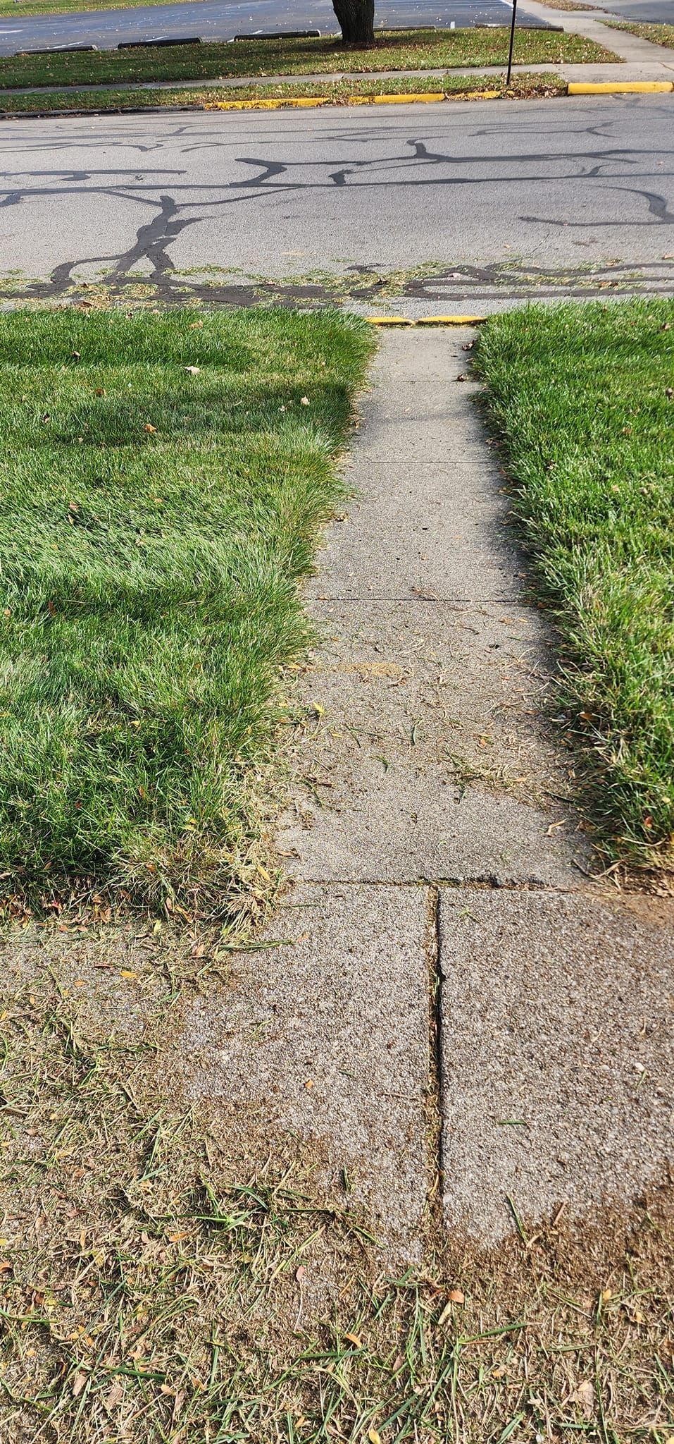 A sidewalk leading to a grassy field next to a road.