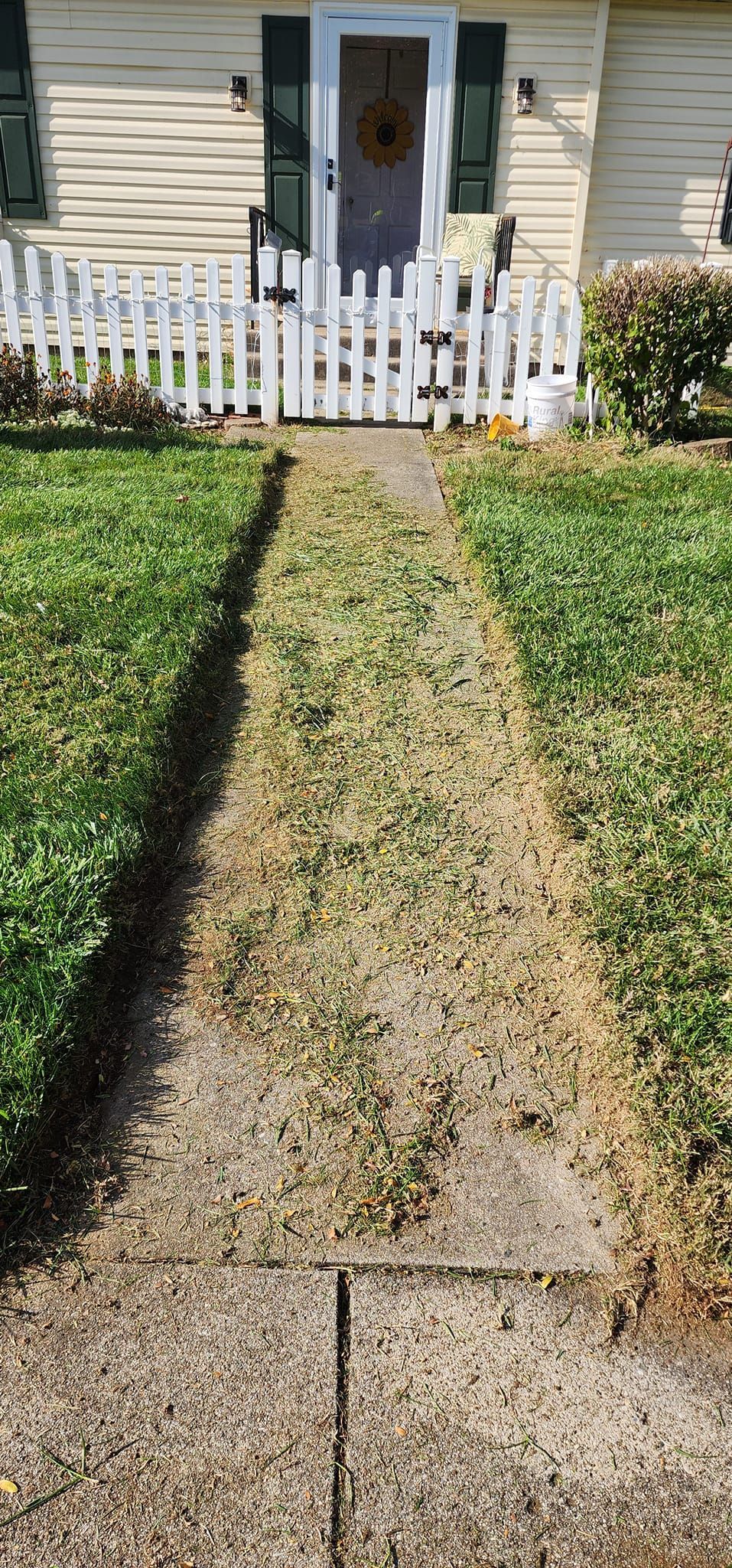 A walkway leading to a house with a white picket fence.