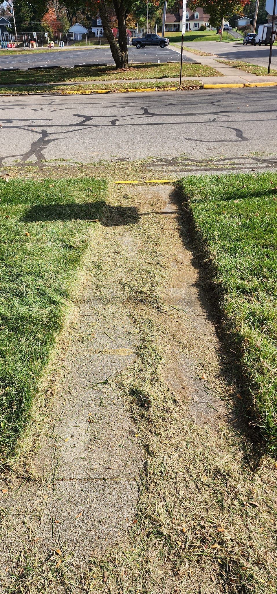 A path going through a grassy field next to a road.