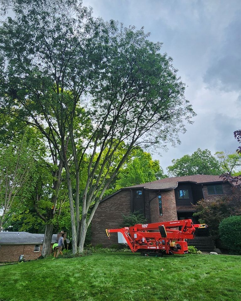 A red crane is cutting a tree in front of a house.